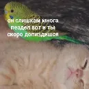 Эмодзи Memes