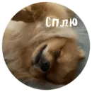 Эмодзи БОНЯ