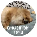 Эмодзи БОНЯ