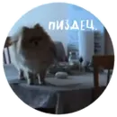 Эмодзи БОНЯ