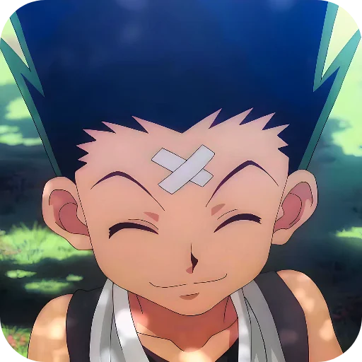 Эмодзи Hunter X Hunter