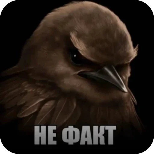 Эмодзи Birds Memes