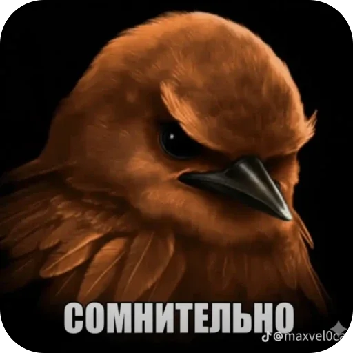 Эмодзи Birds Memes