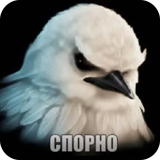 Эмодзи Birds Memes