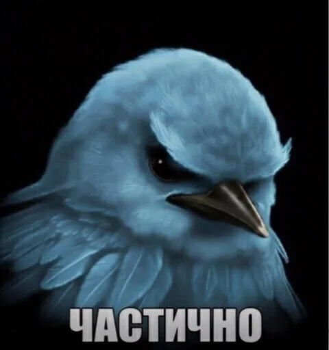 Эмодзи Birds Memes