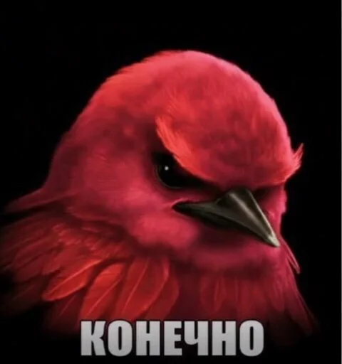 Эмодзи Birds Memes