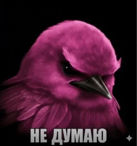 Эмодзи Birds Memes