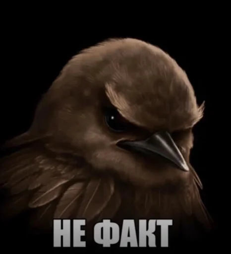 Эмодзи Birds Memes