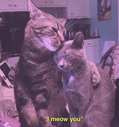 Эмодзи Мяв мяв