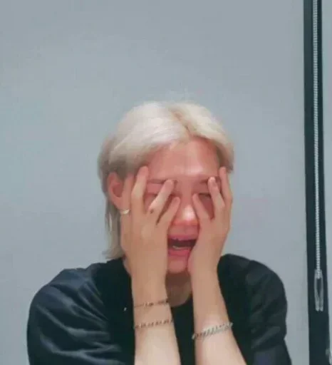 Эмодзи Stray Kids