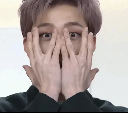 Эмодзи Stray Kids