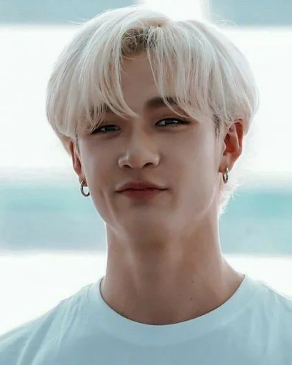 Эмодзи Stray Kids