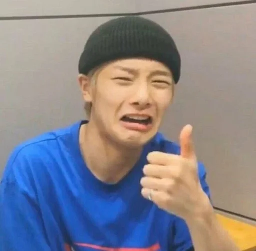 Эмодзи Stray Kids