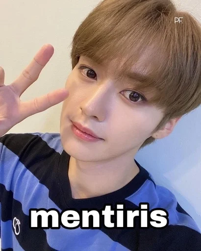 Эмодзи Stray Kids