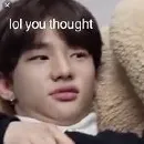 Эмодзи stan straykids