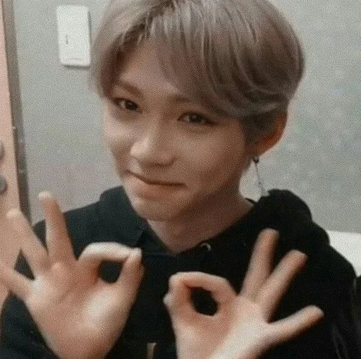Эмодзи Stray Kids