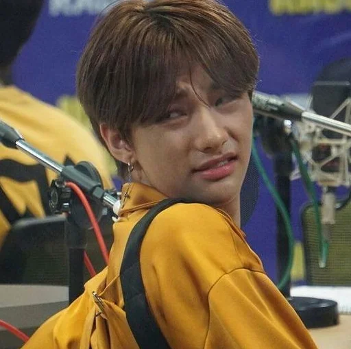 Эмодзи Stray Kids