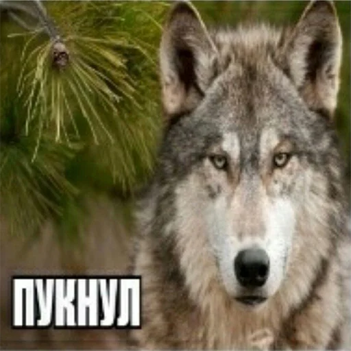 Эмодзи Сильный не тот, кто сильный