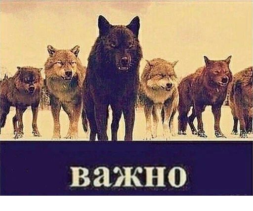Эмодзи Сильный не тот, кто сильный
