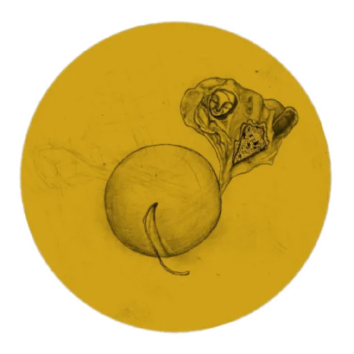 Эмодзи стыдобаза