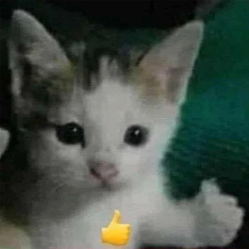 👍