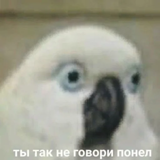 Эмодзи Мемы