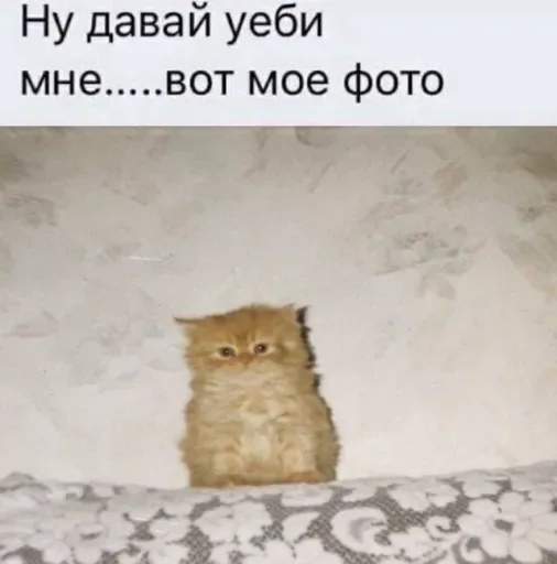 Эмодзи 🧡люблю любить пиздец🥞