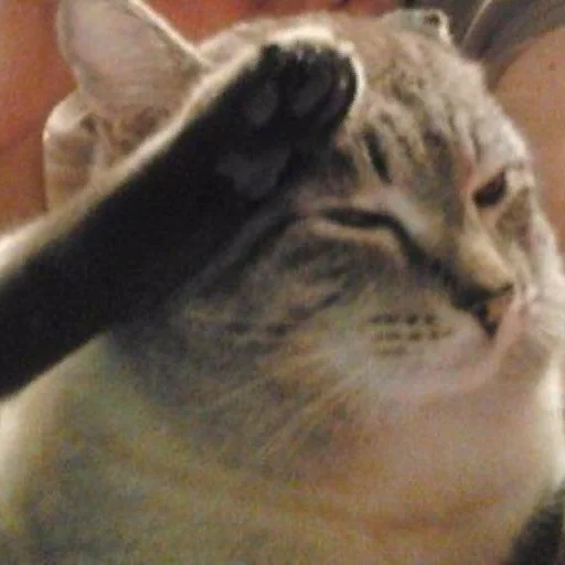?