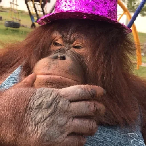 Эмодзи sweetbaboons