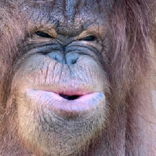 Эмодзи sweetbaboons