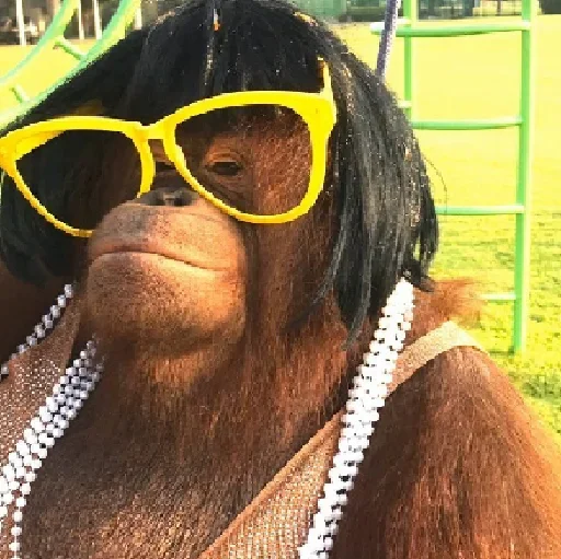 Эмодзи sweetbaboons