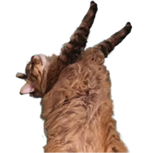 Эмодзи talooong 3