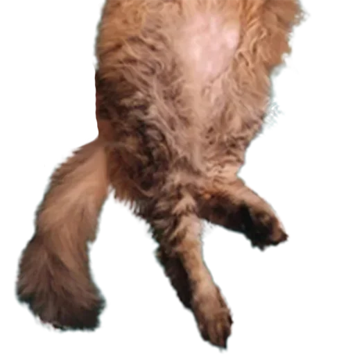 Эмодзи talooong 3