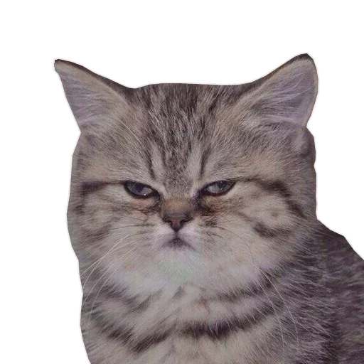 Эмодзи tavernachat