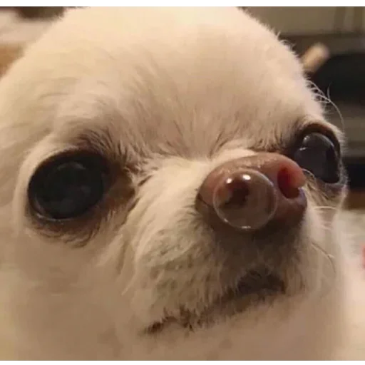 Эмодзи tavernachat