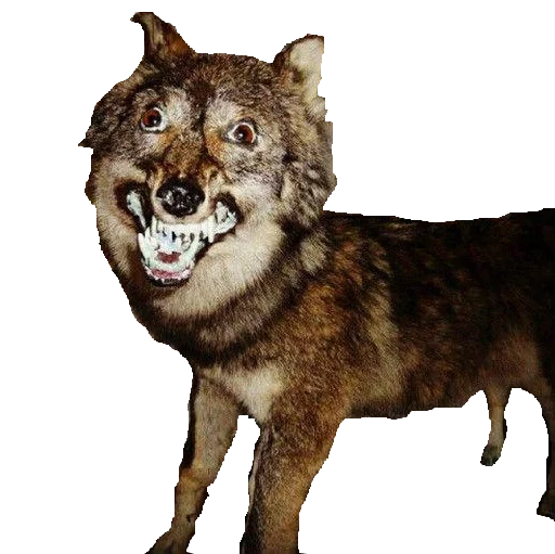 ?