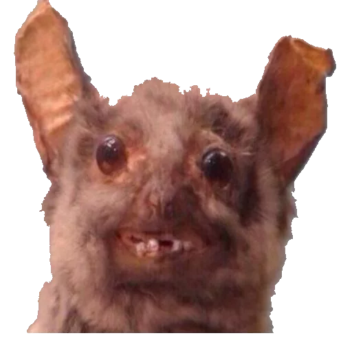 Эмодзи taxiderm