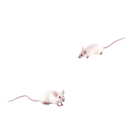 Эмодзи паника