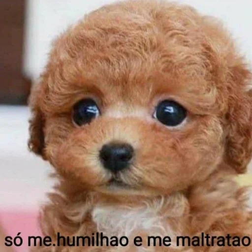 Эмодзи telexorros