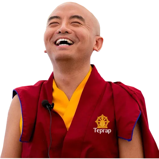 Эмодзи Yongey Mingyur Rinpoche