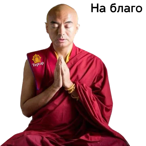 Эмодзи Yongey Mingyur Rinpoche