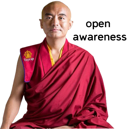 Эмодзи Yongey Mingyur Rinpoche