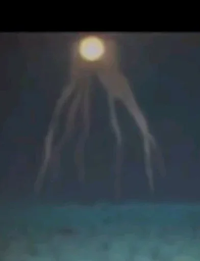 Эмодзи The iris