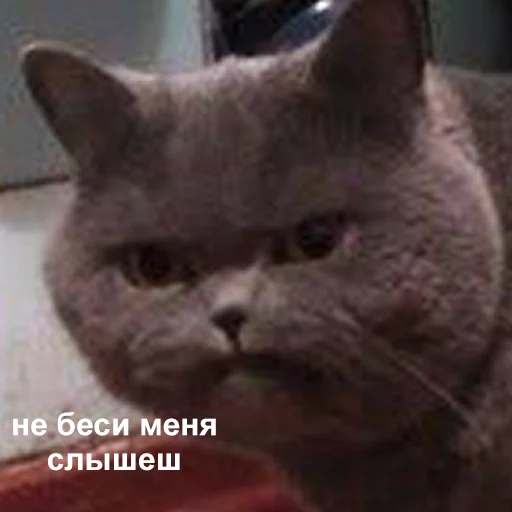 Эмодзи Это конец