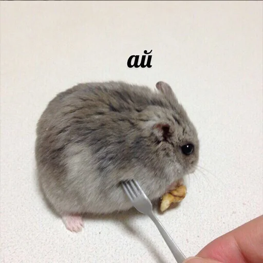 Эмодзи Это конец