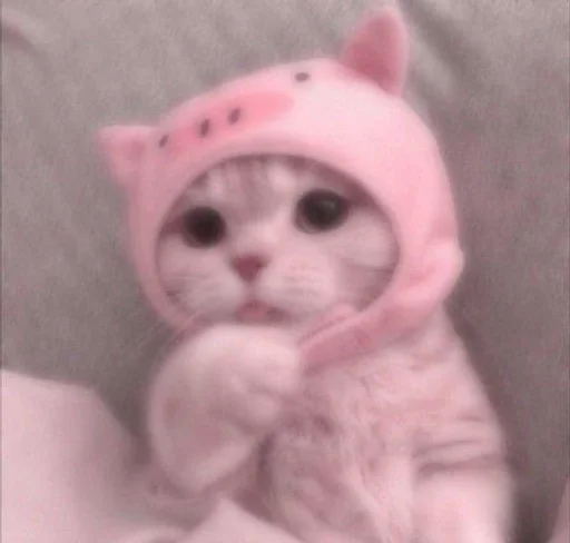 Эмодзи cats