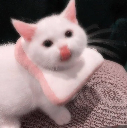 Эмодзи cats