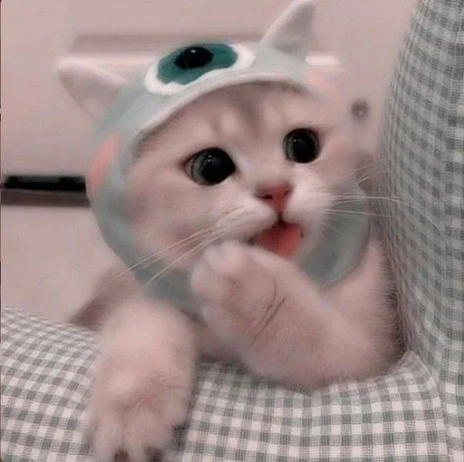 Эмодзи cats