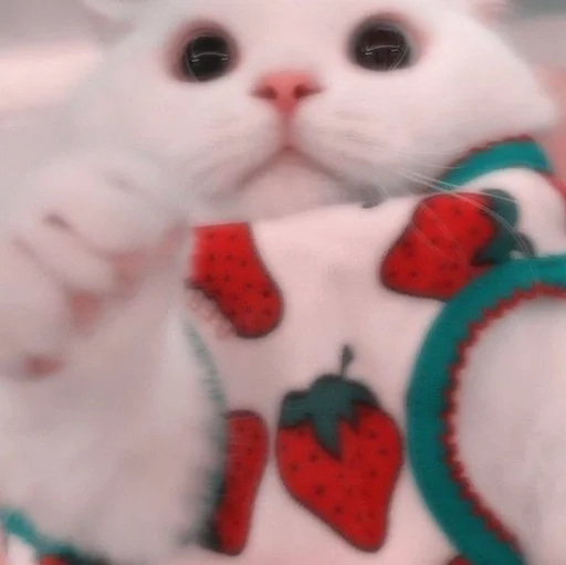 Эмодзи cats