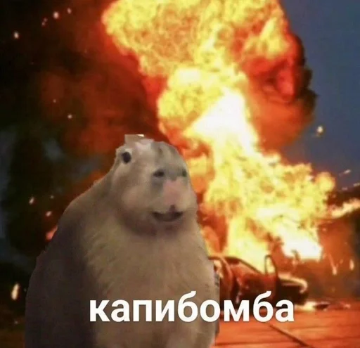 Эмодзи капибарка